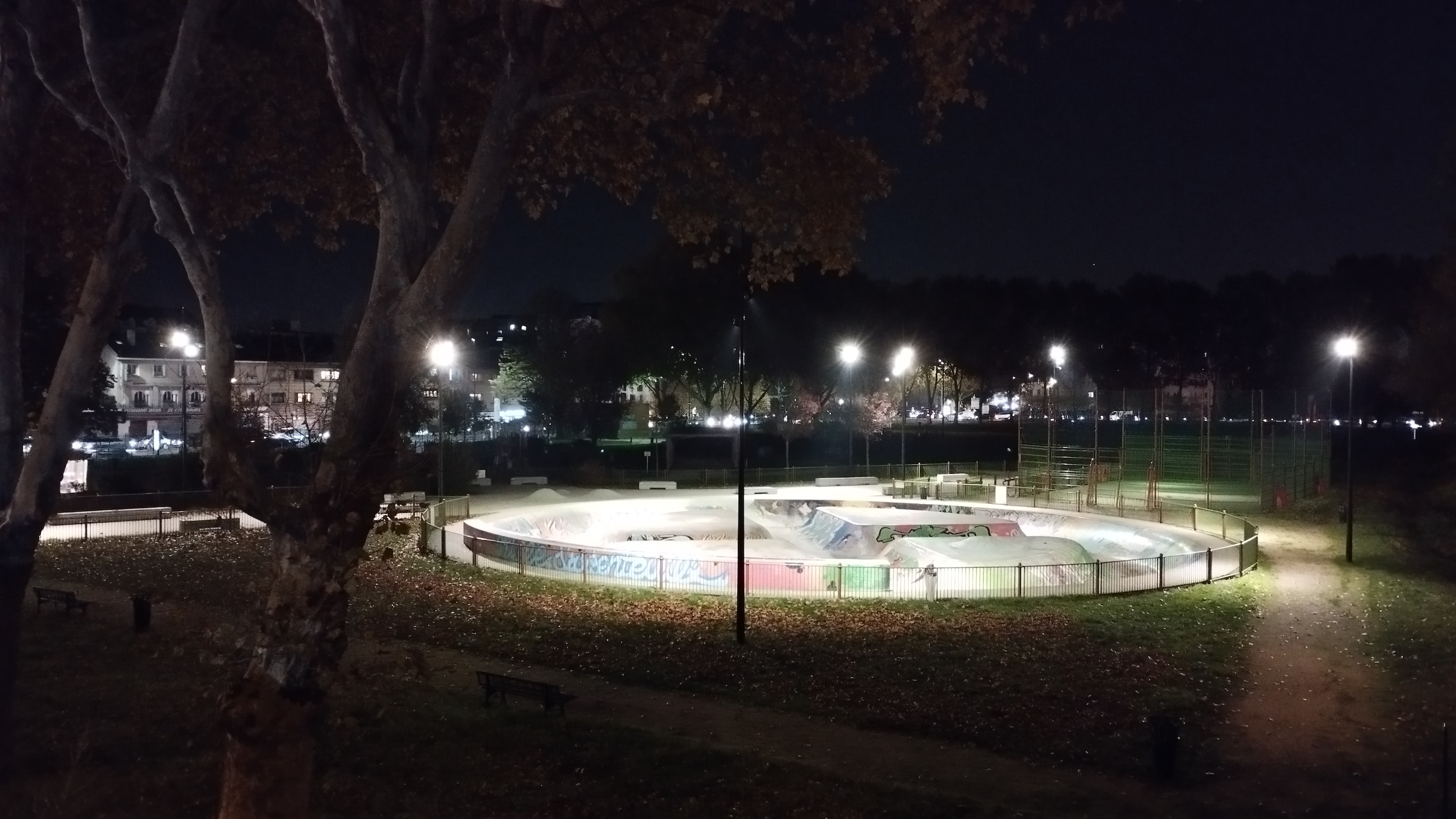Parc des Berges skatepark